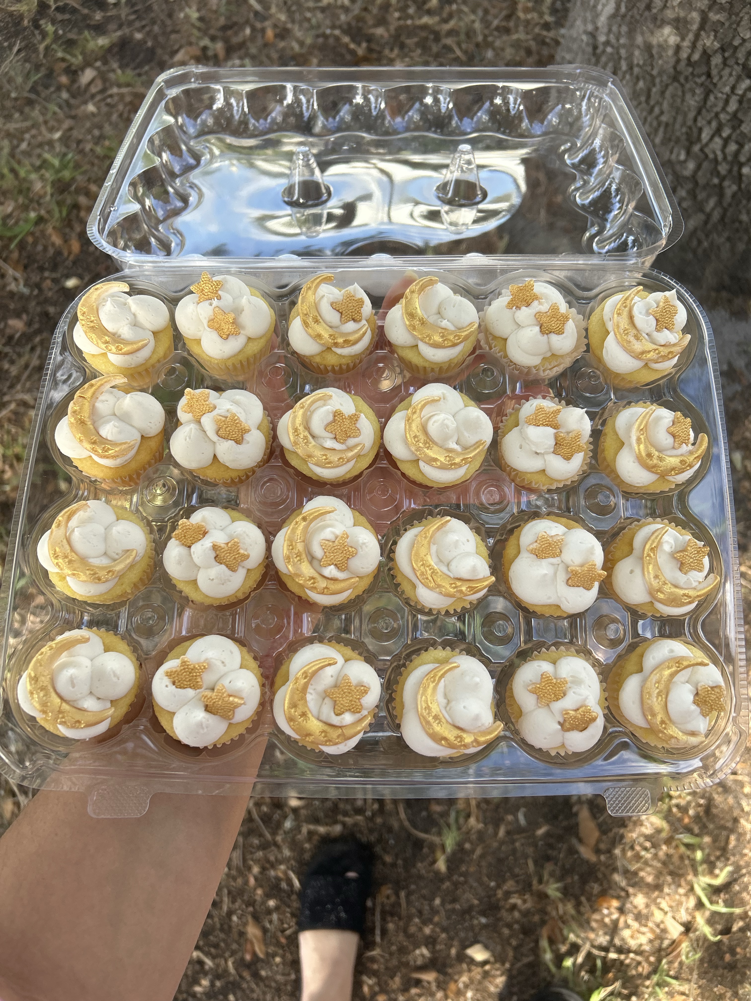 Mini Cupcakes 