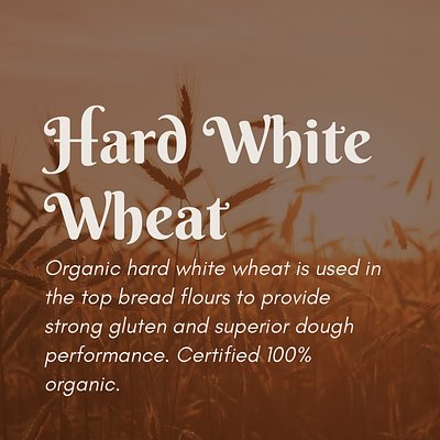 Organic Hard White Wheat Berries (50 lb)