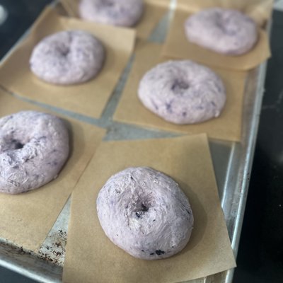 Sourdough Bagels - Blueberry