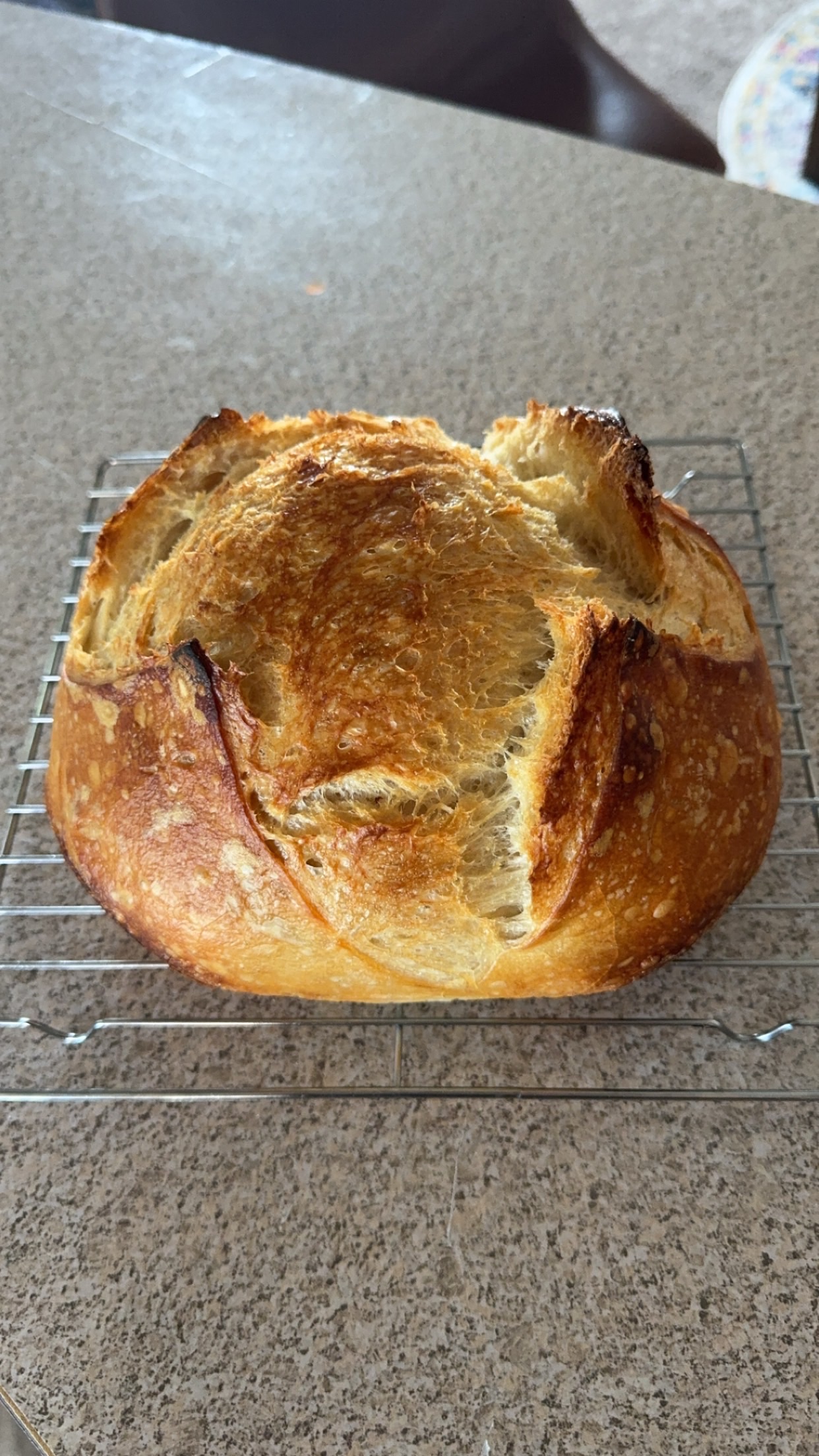 Rosemary And Garlic Loaf