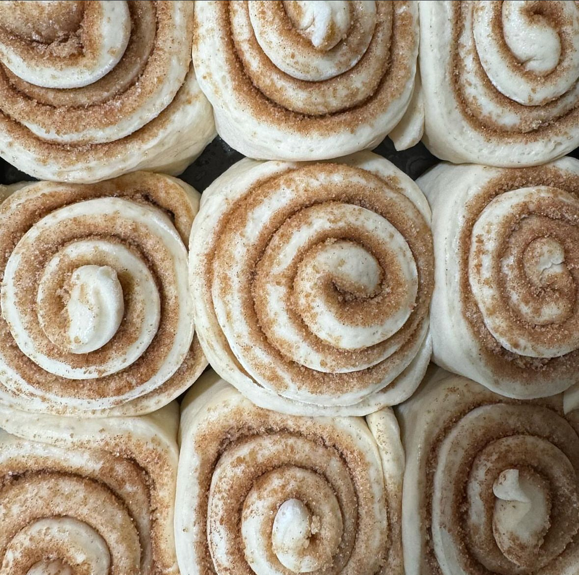 12 Pack JUMBO Cinnamon Rolls + Frosting