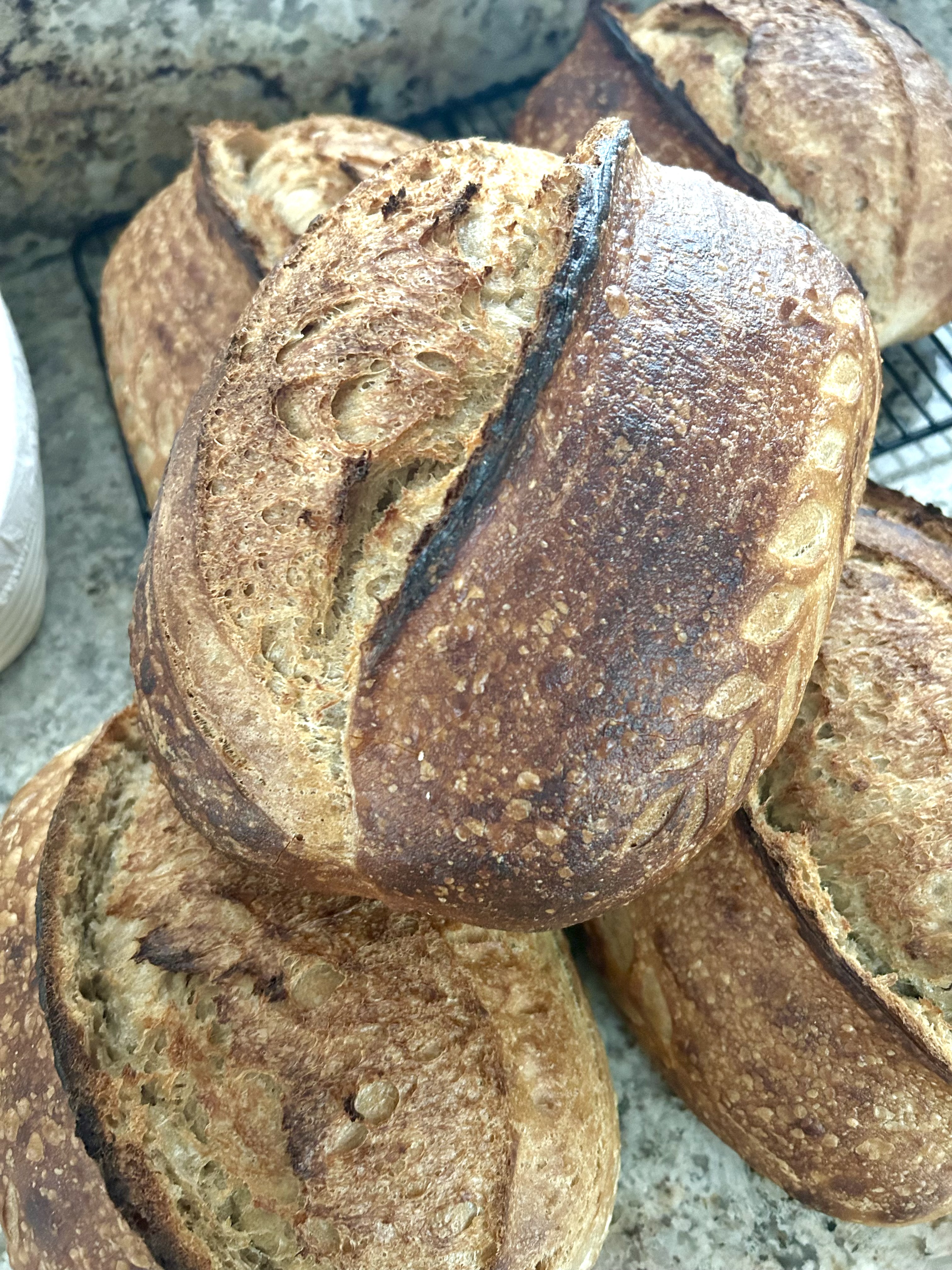 Sourdough 
