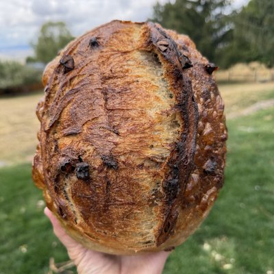 Cranberry Pecan Pumpkin Sourdough