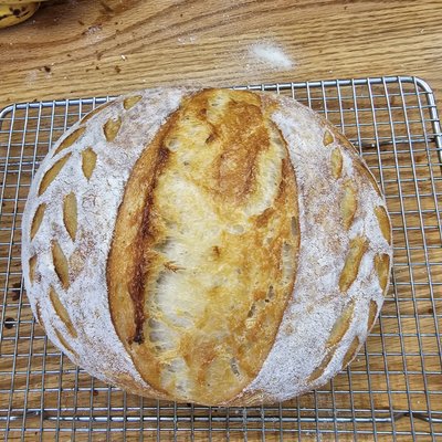 Classic Sourdough Boule Loaf