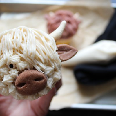 Highland Cow Cupcake Class 