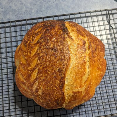 Whole Wheat Artisan Classic