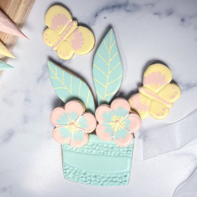 Private  Cookie Decorating Class