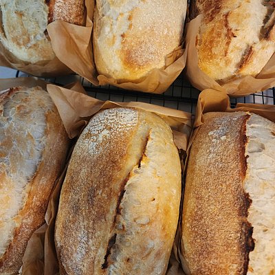 Sourdough Breads