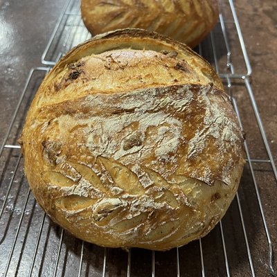 Sourdough Roasted Garlic-Rosemary 
