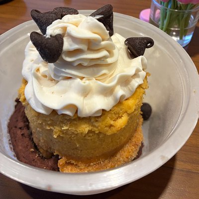 Dozen Pumpkin Cheesecake Bites over Chocolate Mousse 