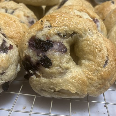 Blueberry Bagel