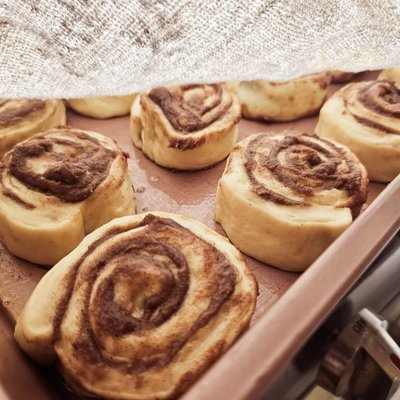 Sourdough Cinnamon Rolls Pack Of 4