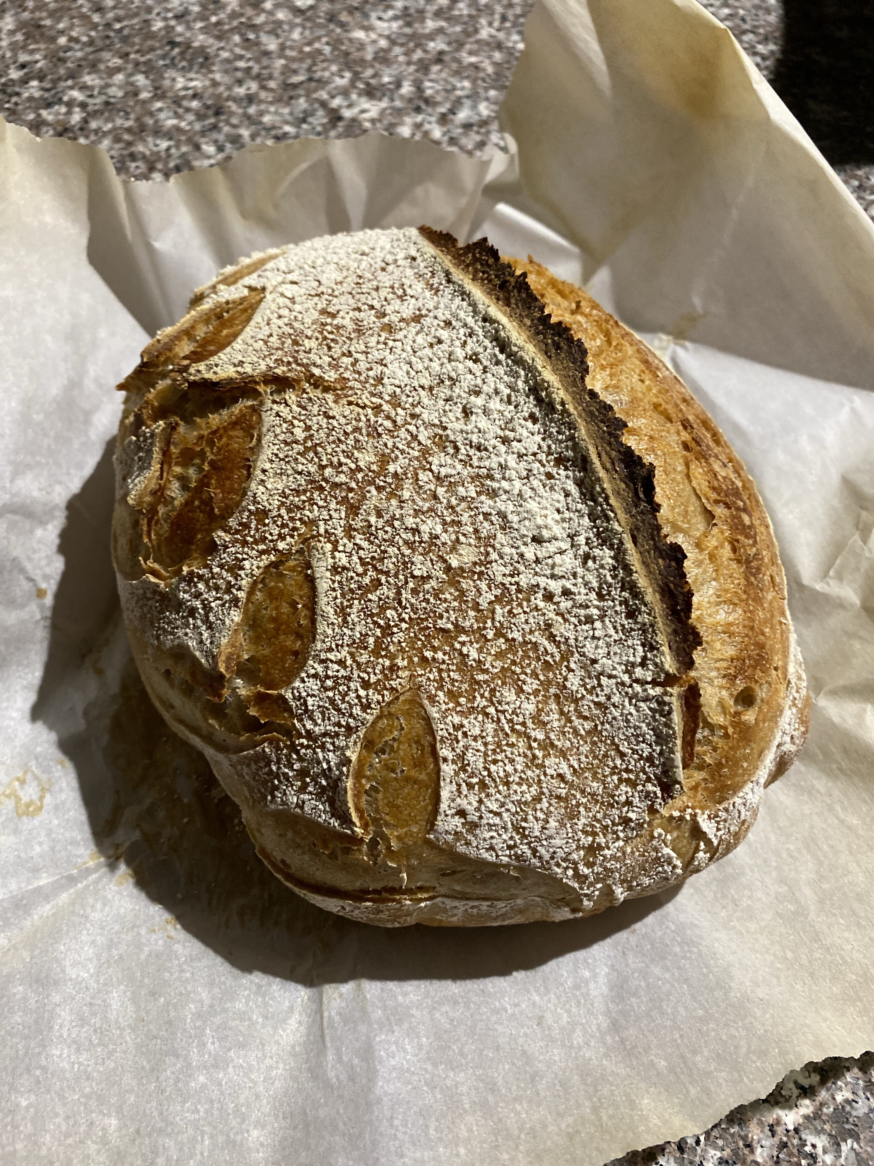 Rustic Sourdough Loaves