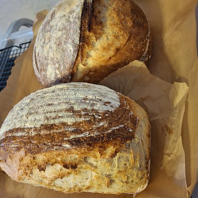 Sourdough 
