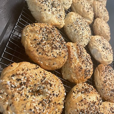 1/2 Dozen Bagels 