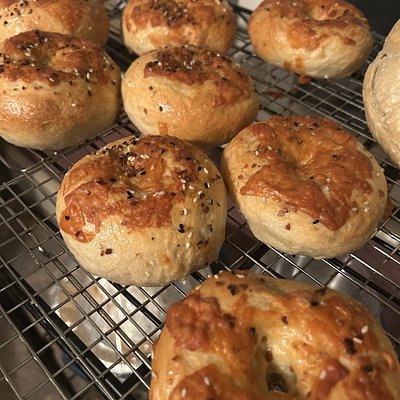 Asiago Cheese Bagels 4/$20