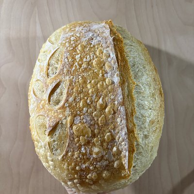 Sourdough Loaf - Plain