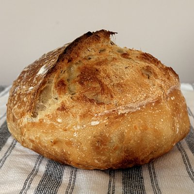 Salt Of The Earth 🌿🧀 