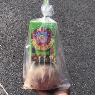 Themed Candy Apples ( Dozen)