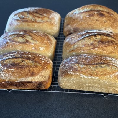 Cinnamon Sugar Sourdough