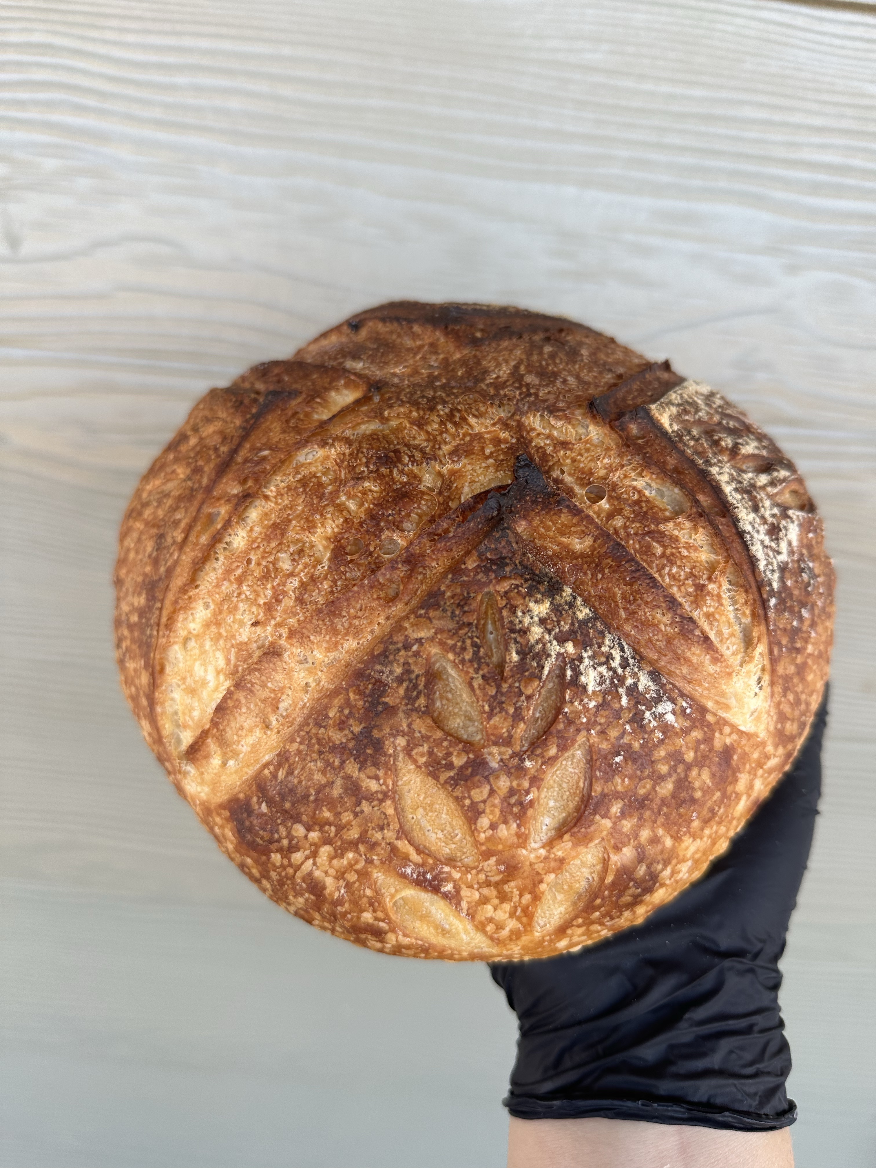 Plain Sourdough