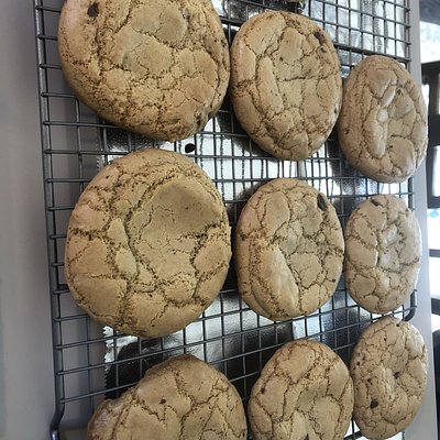 Cookies By The Dozen