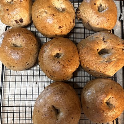 Cinnamon Raisin Bagel (6 Pack)