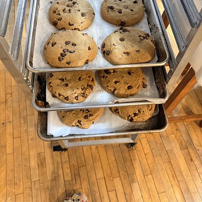 Cream Cheese Chocolate Chip 