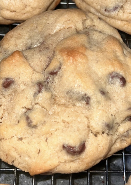 Chocolate Chip 