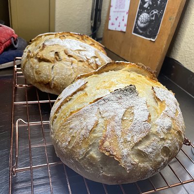 Rosemary Sea Salt Sourdough