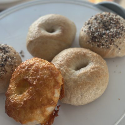 Yeast Bagels (single) *specify flavor*