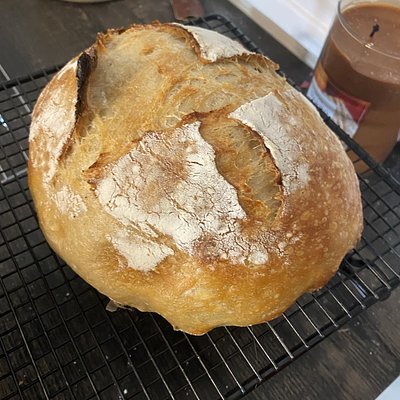 Plain Sourdough