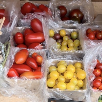 Cherry Tomatoes 