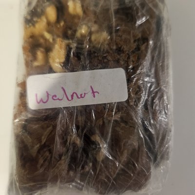 Walnut Brownies 