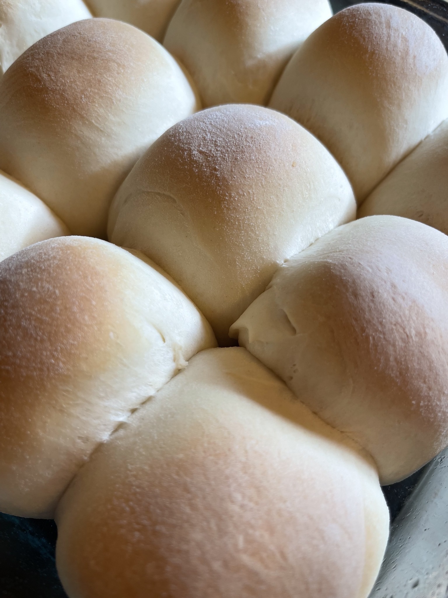Dinner Rolls