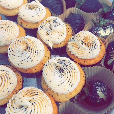 Plain Iced Cupcakes 
