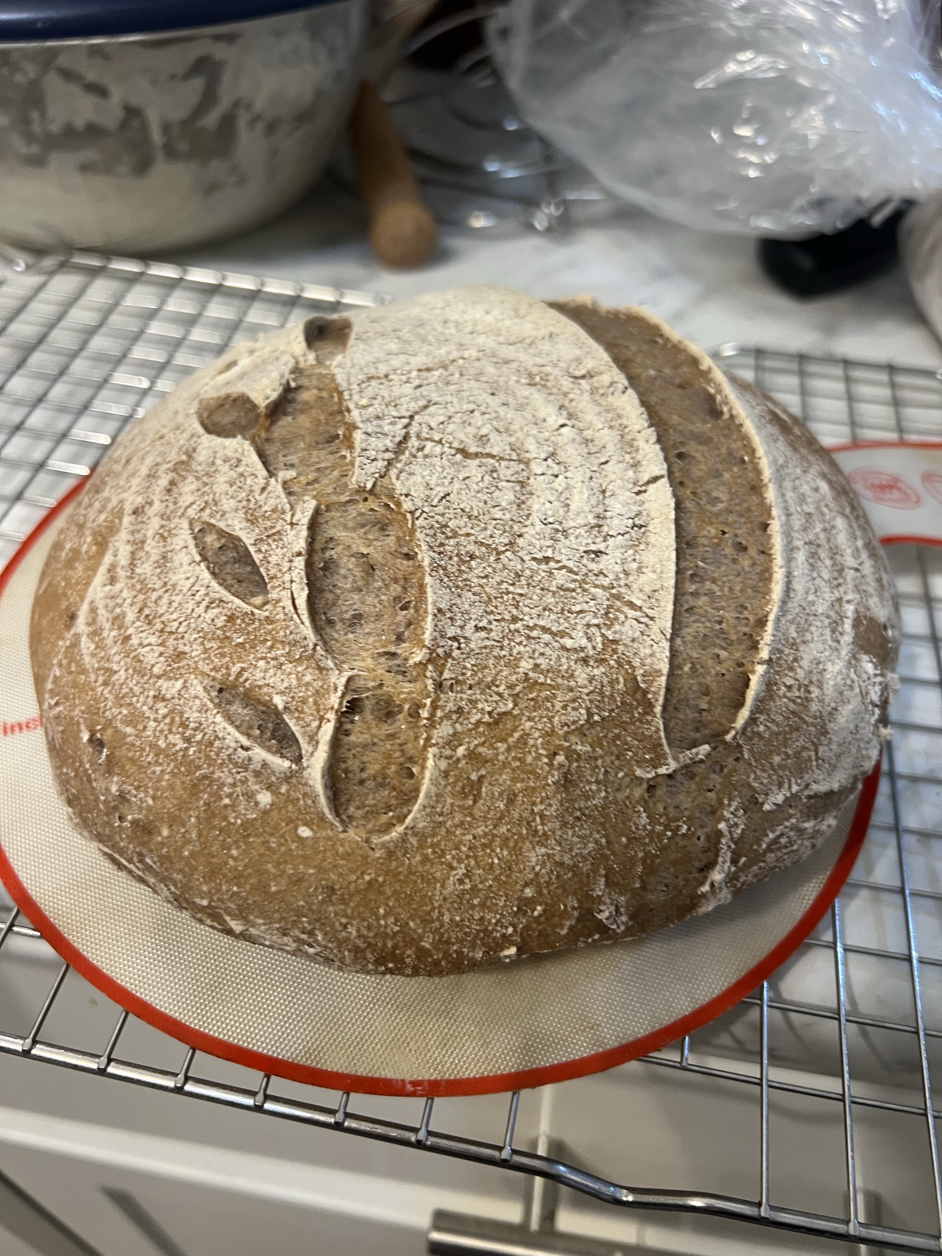 Gluten Free Sourdough Loaf