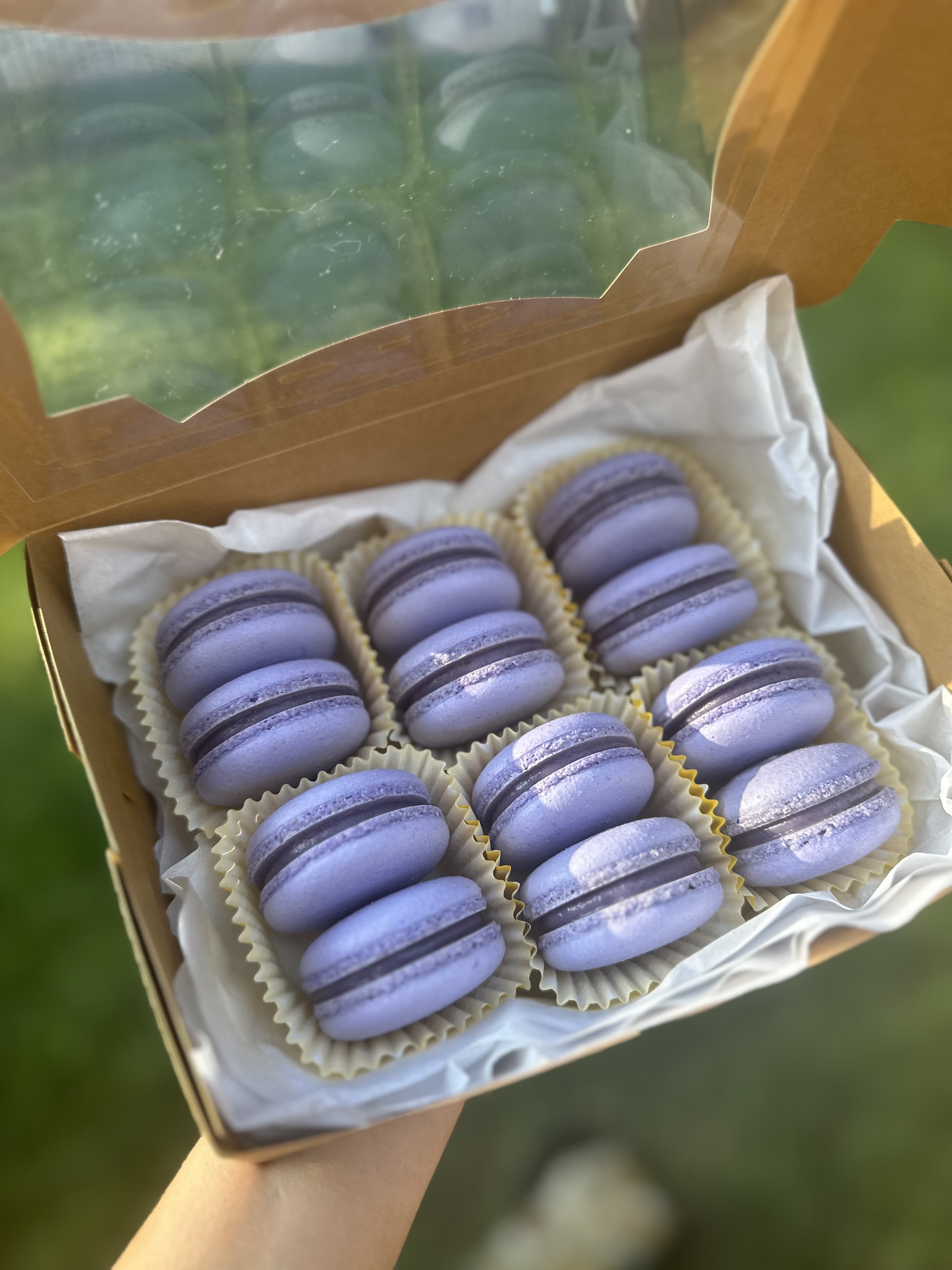 Blueberry Macarons