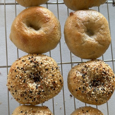 Sourdough Bagels Everything Seasoning (6pack)