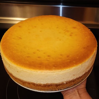 Plain Cheesecake 