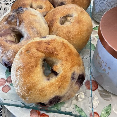 Blueberry Sourdough Bagels - 6 Pack