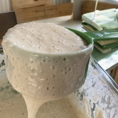 Sourdough Starter
