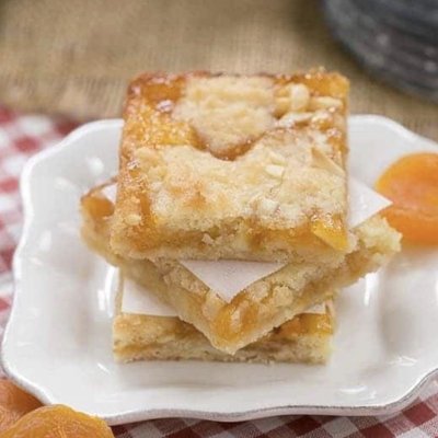 Apricot Bar (BIG!)