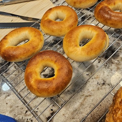 Sourdough Bagels (4)