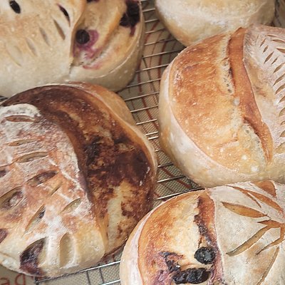 Chocolate Chip Sourdough Boule 