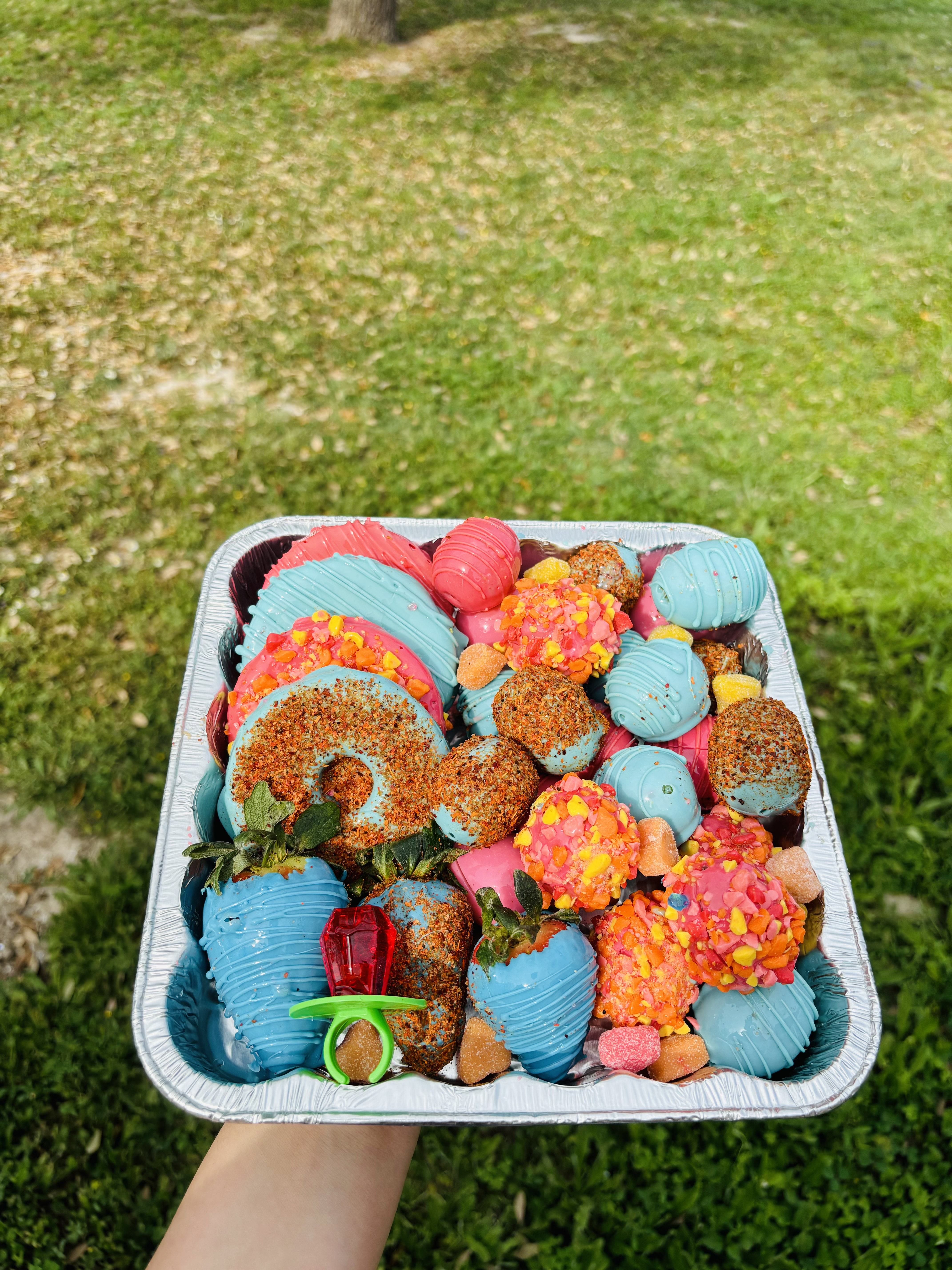 Large Tray