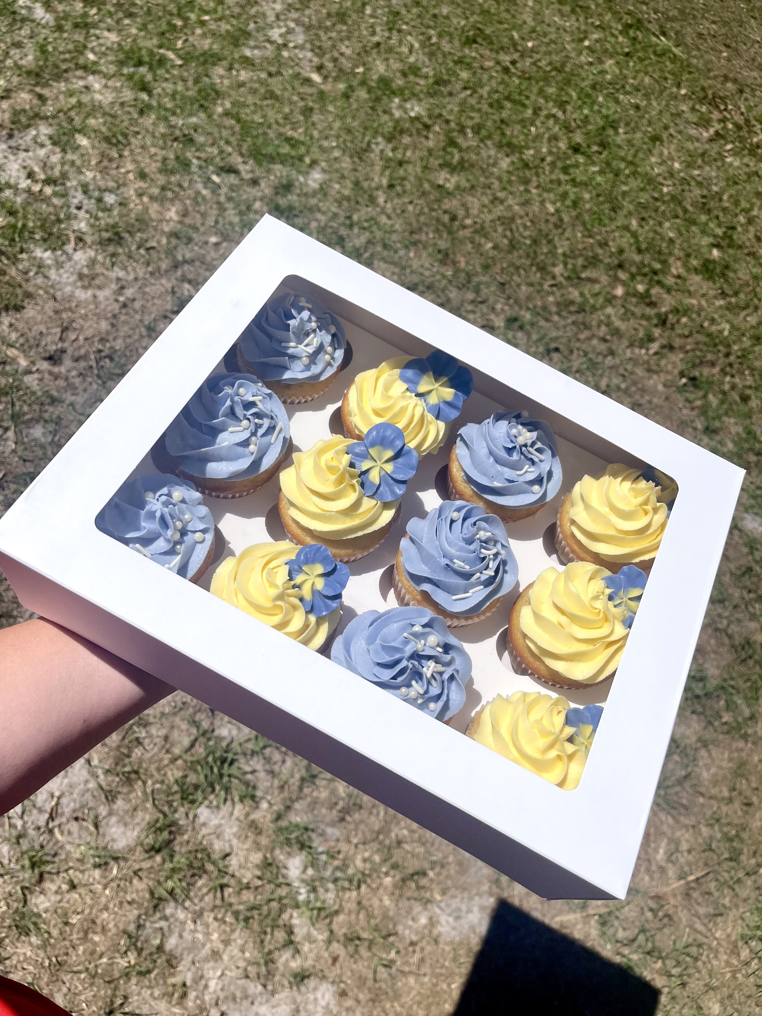 Cupcakes 