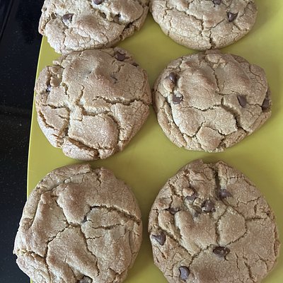 Chocolate Chip 