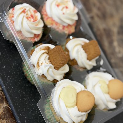 Cupcake Packs - Variety 