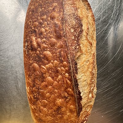 Classic Sourdough Loaf